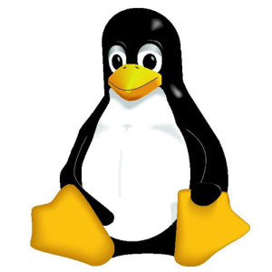 Administration und Hosting von Open Source Linux Webservern aus Duisburg